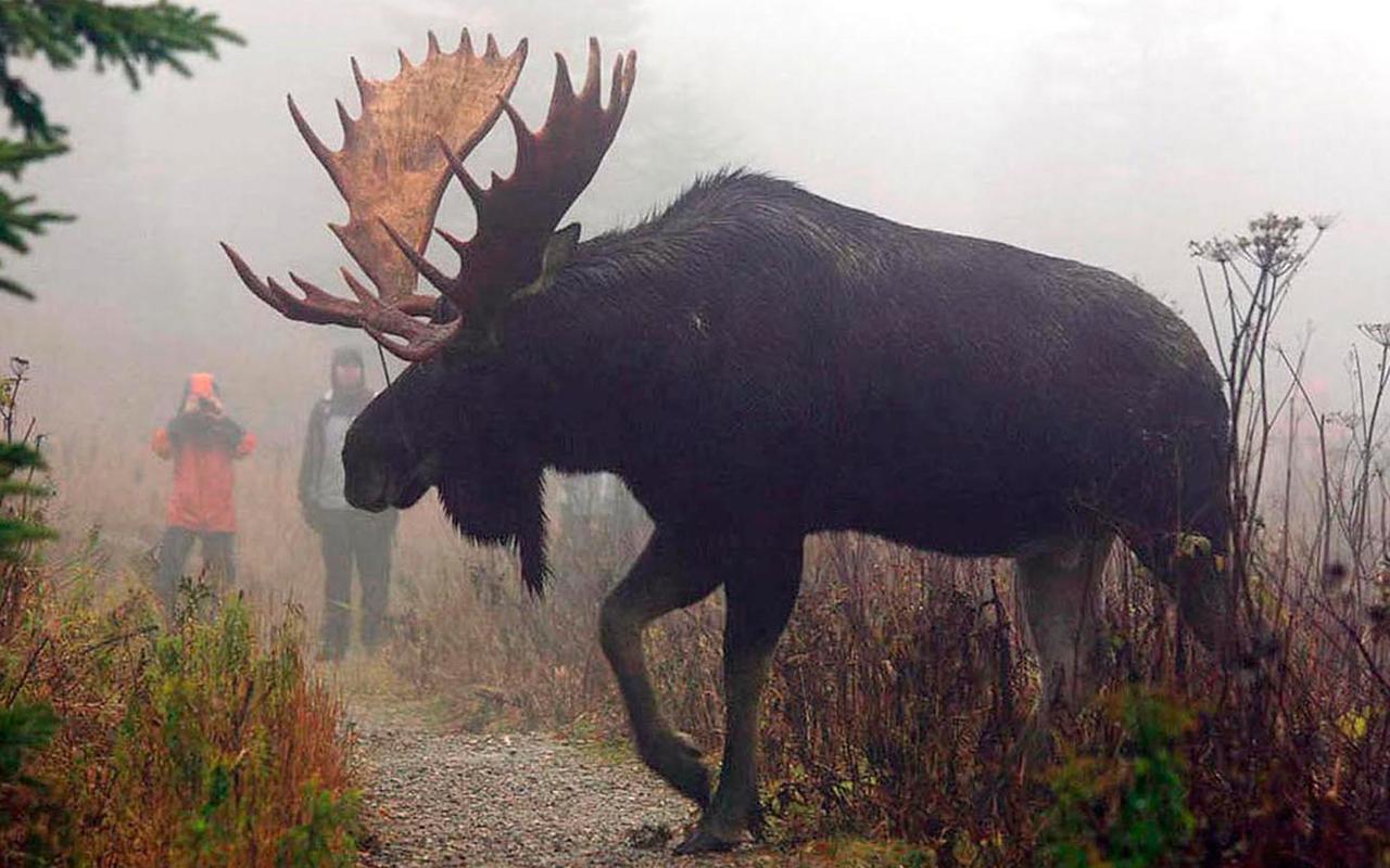 Вилла Le Ti Moose Ла-Мальбе Экстерьер фото